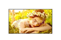 50" LG LED 50UL5 - UHD, 350cd, IPS, 16/7 50UL5Q-E.AEUQ