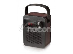 CARNEO F90 FM rdio, BT reproduktor, black/wood 8588007861890