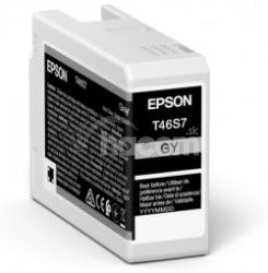 Epson Singlepack Gray T46S7 Ultrachrome C13T46S700