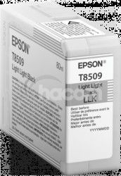 Epson Singlepack Photo Light Light Black T850900 UltraChrome HD ink 80ml C13T850900
