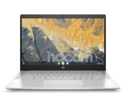 HP Pro/c640 ChromeBook/i5-10310U/15,6
