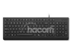 Lenovo Essential Wired Keyboard (Black) - Slovak 245/PS/2/ SK/�ierna 4Y41R64664