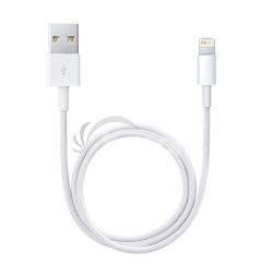 Lightning to USB Cable 0,5M / SK ME291ZM/A
