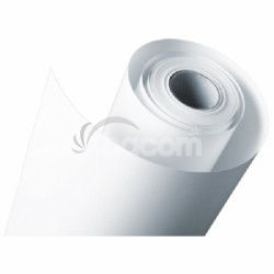 Premium Semimatte Photo Paper 44" x 30.5 m 260 g/m C13S042152