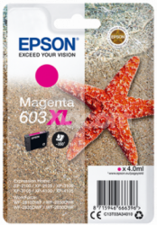 EPSON siglepack, Magenta 603XL C13T03A34010