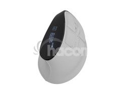 Vertik�lna bezdr�tov� my� Natec EUPHONIE PRE/Vertik�lna/Optick�/Pre prav�kov/4 000 DPI/USB+BT/Biela NMY-2378