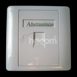 WALL plate SA s rmekom pre 1keystone (80 x 80) 2255