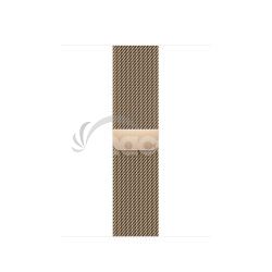 Watch Acc/41/Gold Milanese Loop MTJL3ZM/A