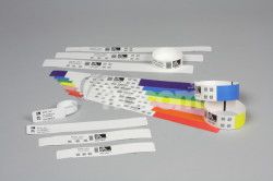 Wristband - HC100 Cartridge, Polypropyln, DT, 25,4 x 177,8 mm, 300/roll 10006999K